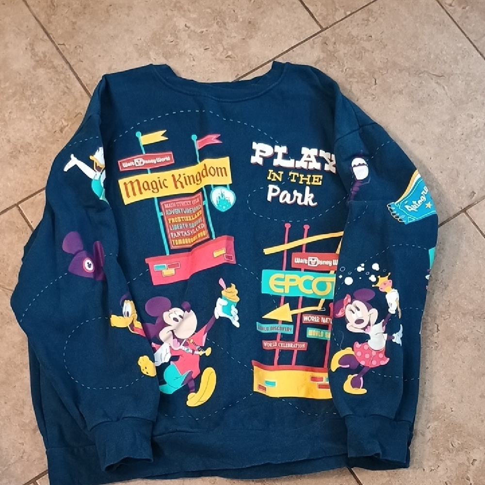 Disney Play in the Park Blue Sweatshirt
